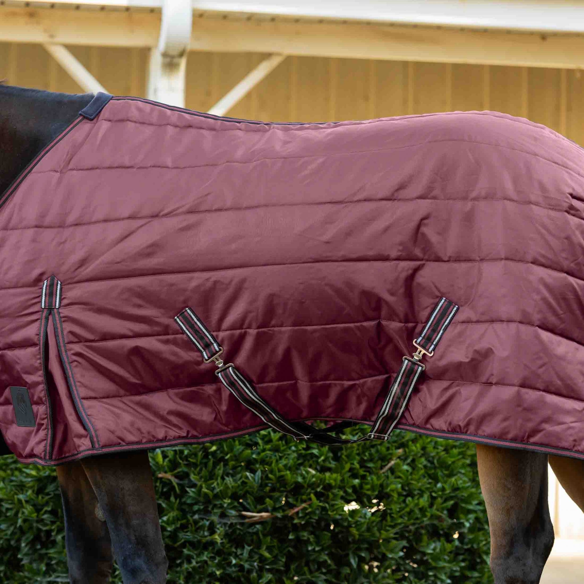 Equinavia Norse Gusseted Stable Blanket 100g