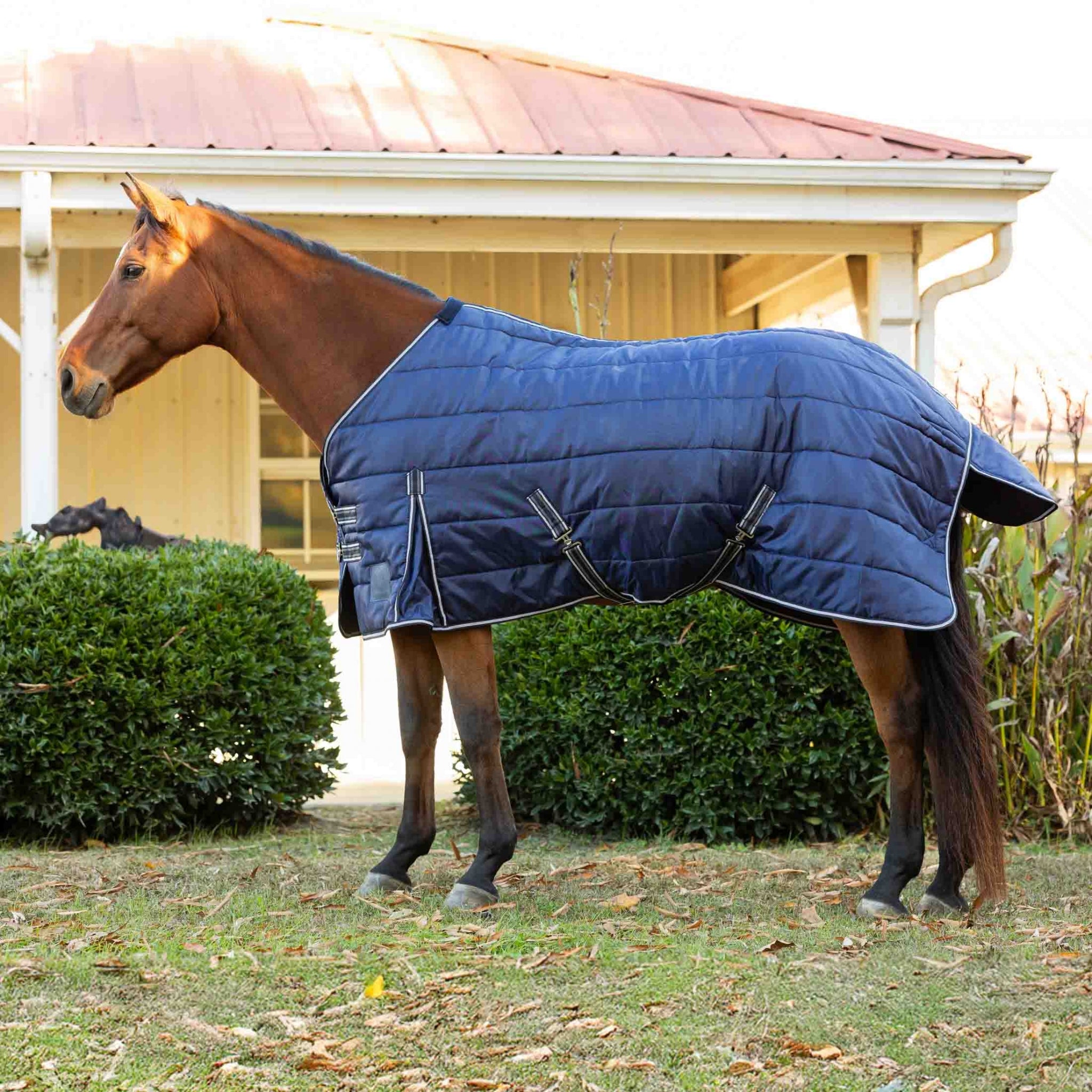 Equinavia Norse Gusseted Stable Blanket 100g
