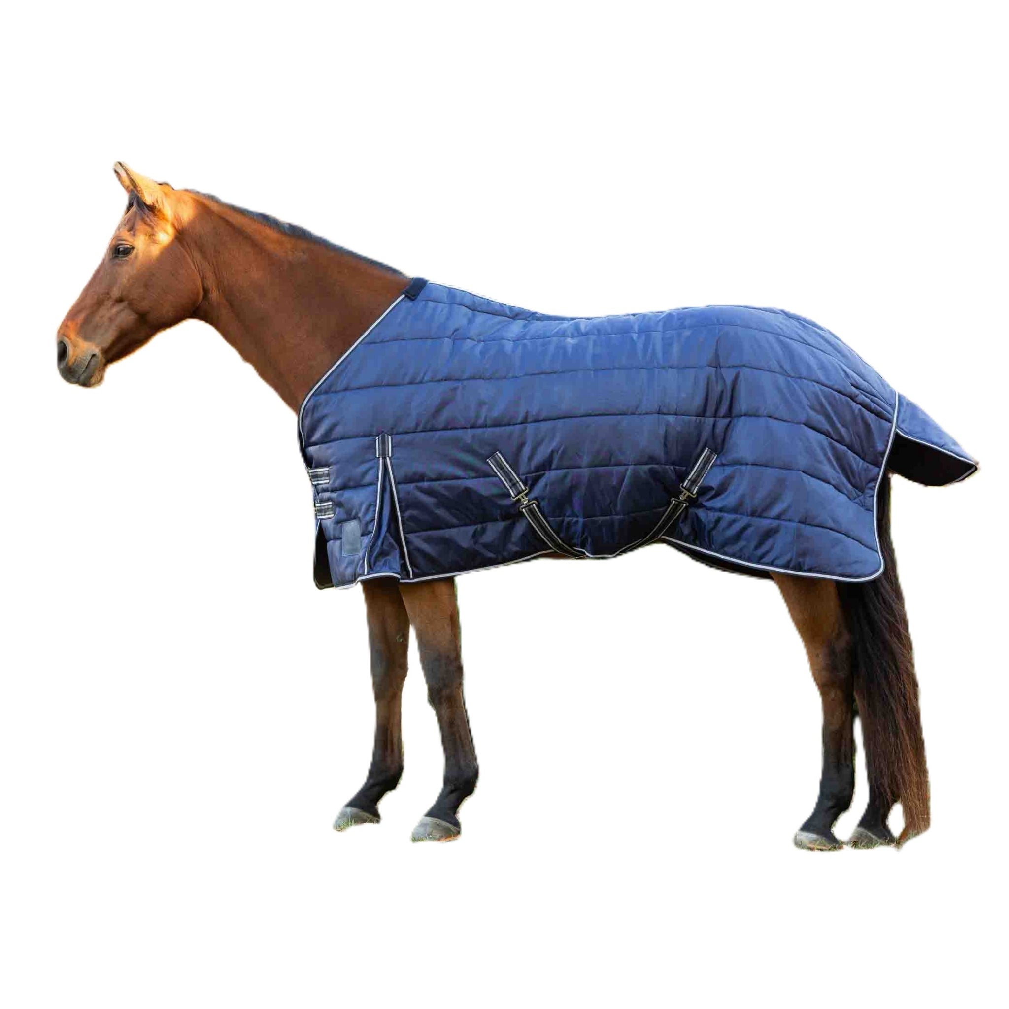 Equinavia Norse Gusseted Stable Blanket 100g