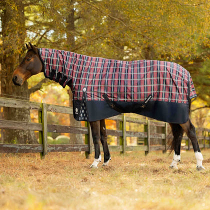 Equinavia Norse Full Neck Turnout Sheet