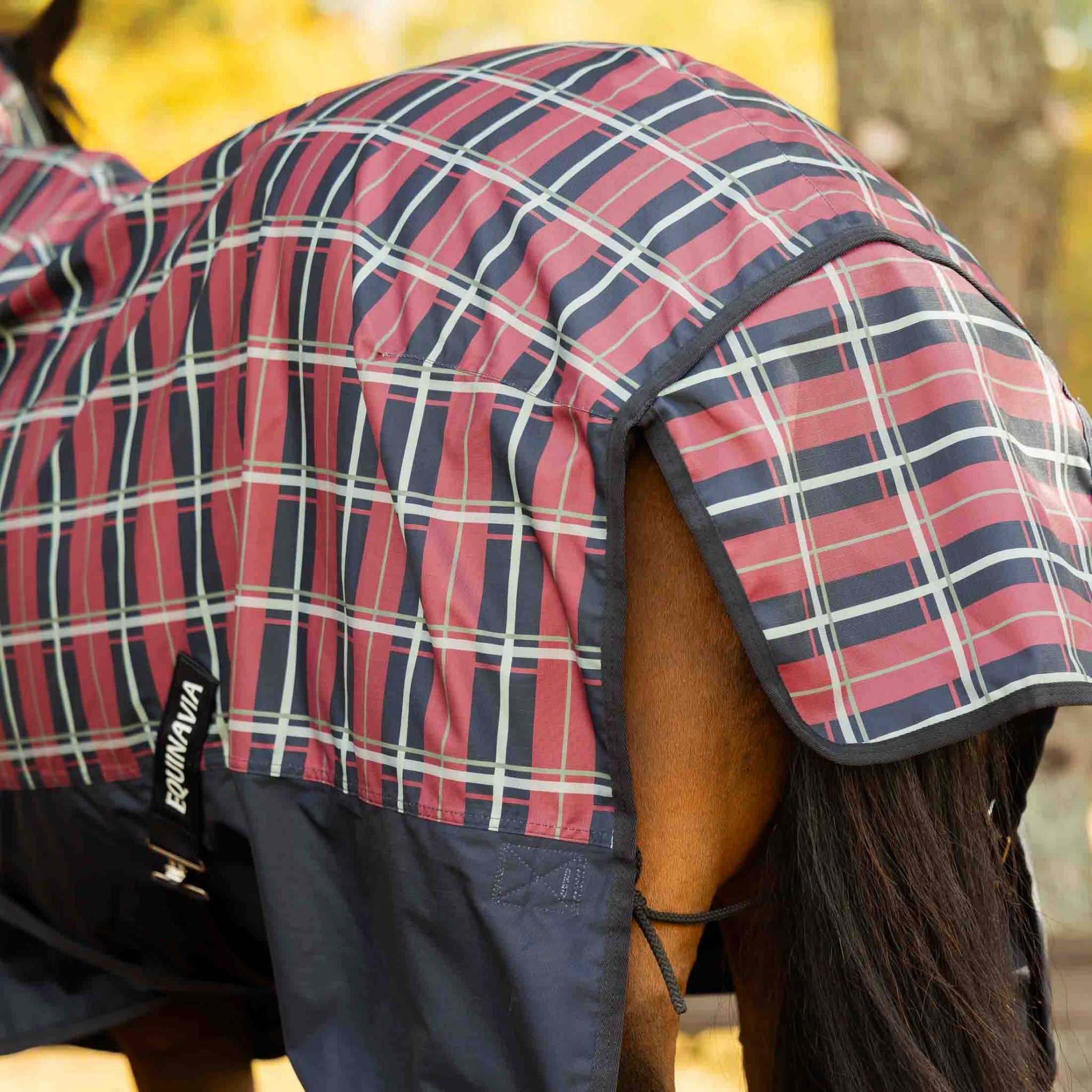 Equinavia Norse Full Neck Turnout Sheet