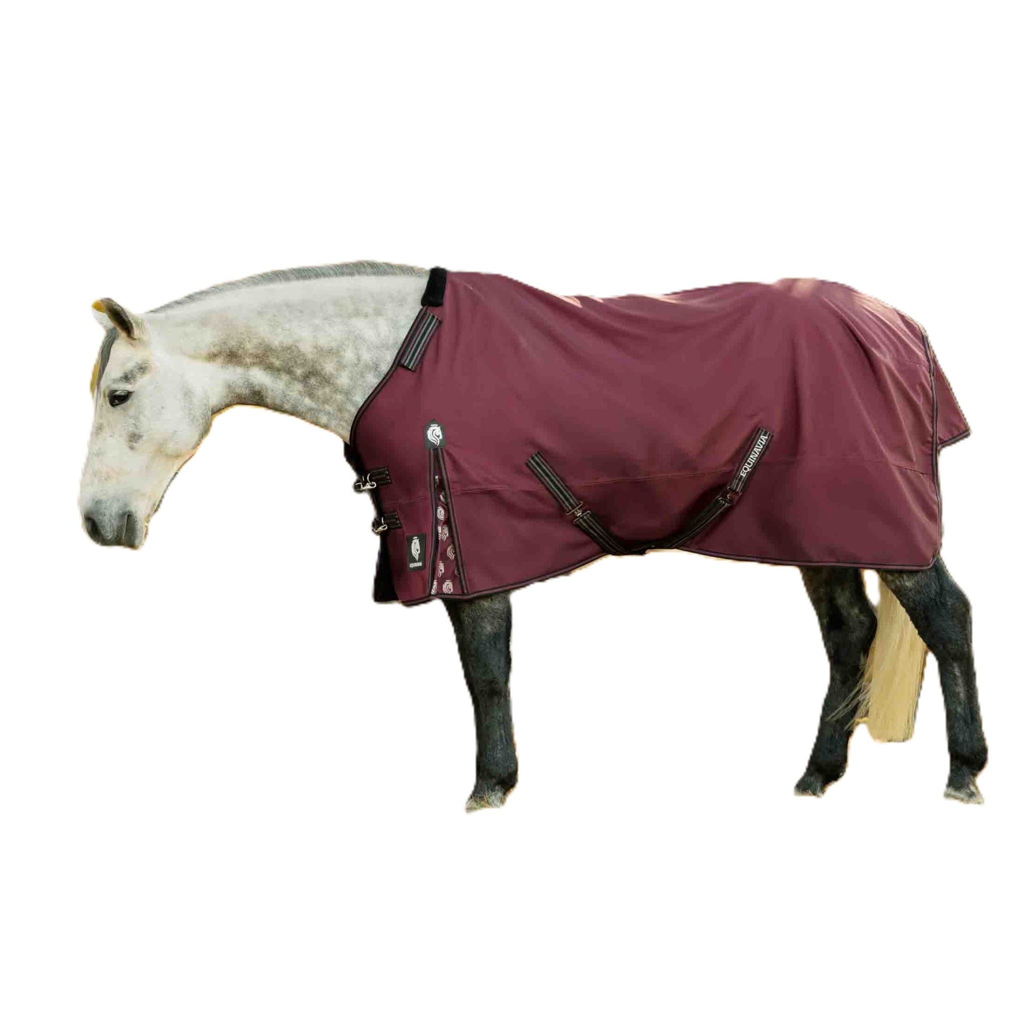 Equinavia Norse Pony Turnout Blanket 300g