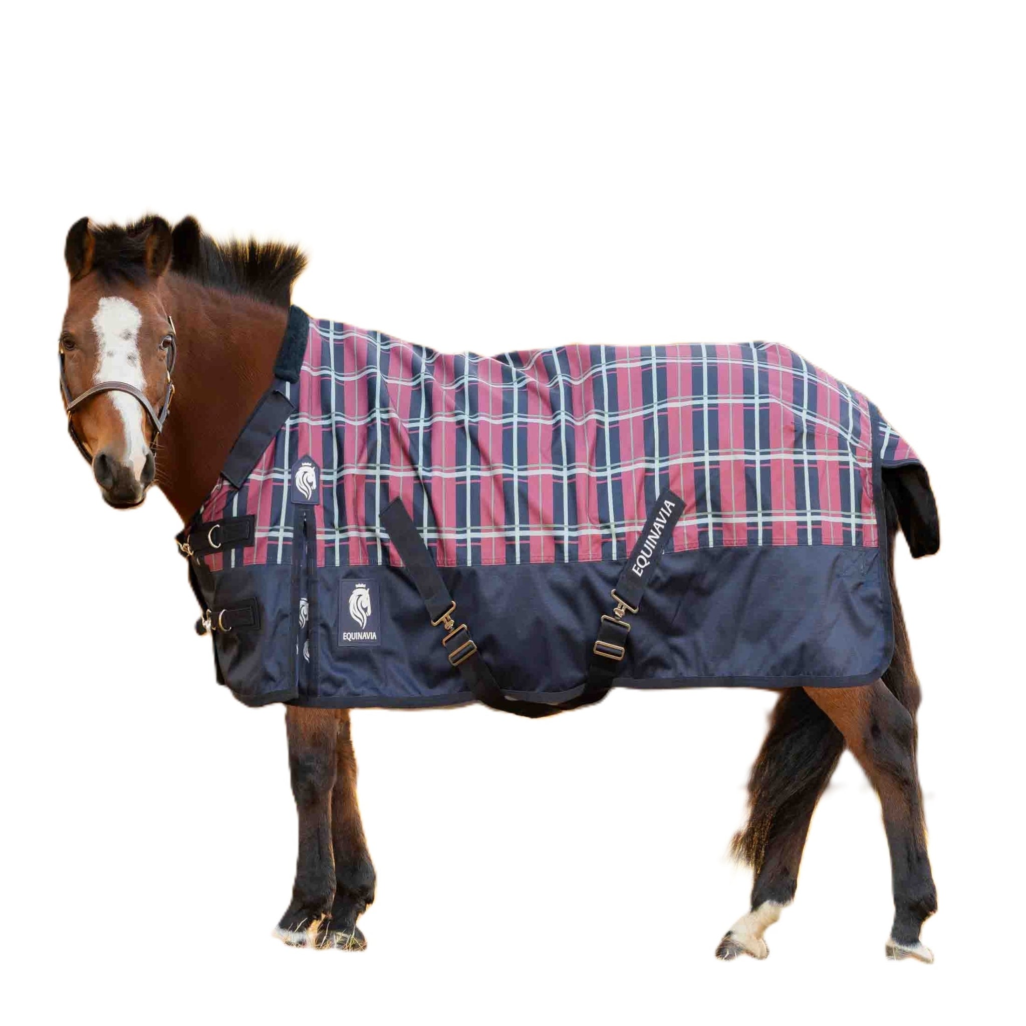 Equinavia Norse Pony Turnout Blanket 300g