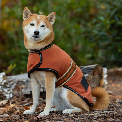 Equinavia Norse Fleece Dog Coat