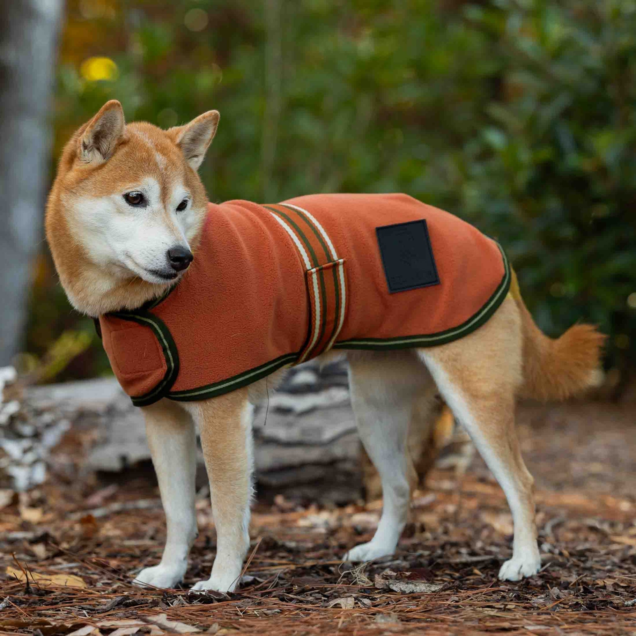 Equinavia Norse Fleece Dog Coat