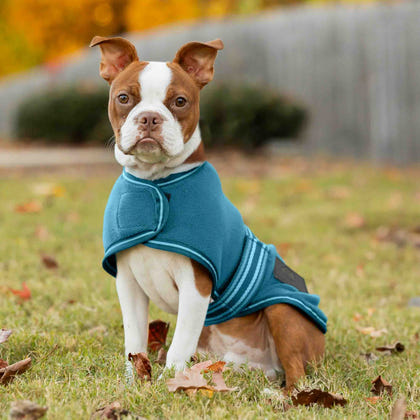 Equinavia Norse Fleece Dog Coat