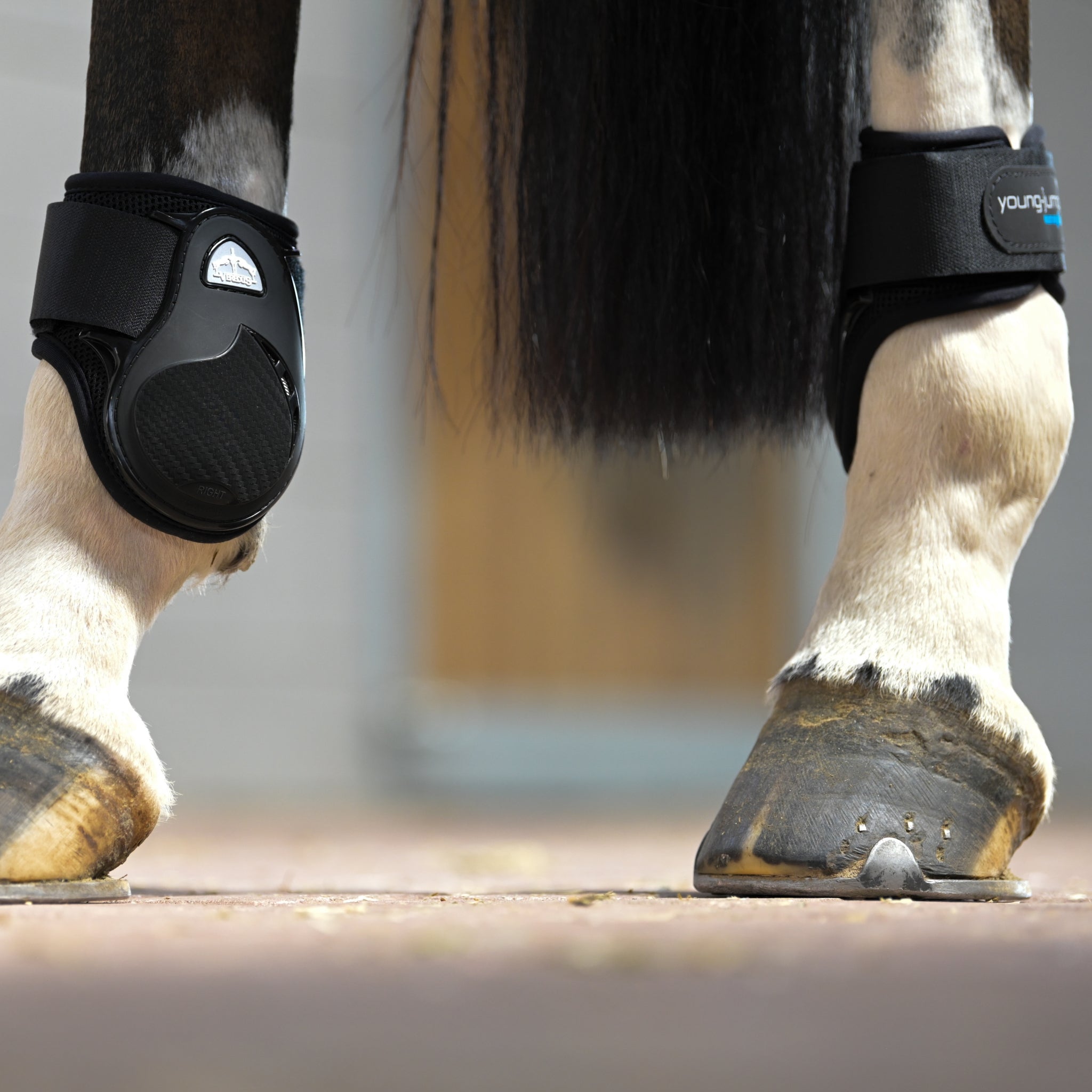 Veredus Young Jump Vento Rear Fetlock Boots