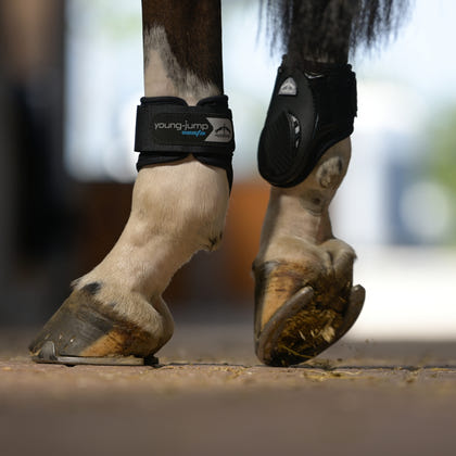 Veredus Young Jump Vento Rear Fetlock Boots