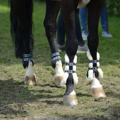 Veredus Carbon Gel Vento Save The Sheep Rear Fetlock Boots