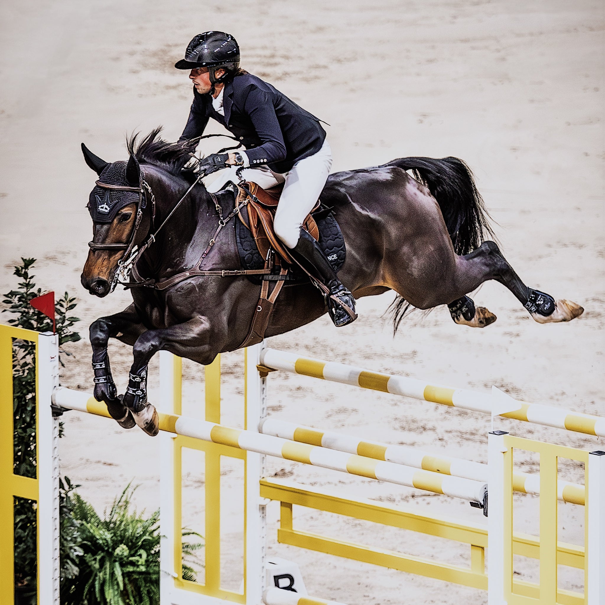 Veredus Pro Jump Active Rear Fetlock Boots