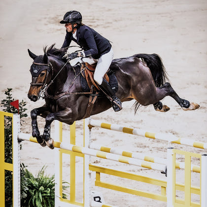 Veredus Pro Jump Active Rear Fetlock Boots