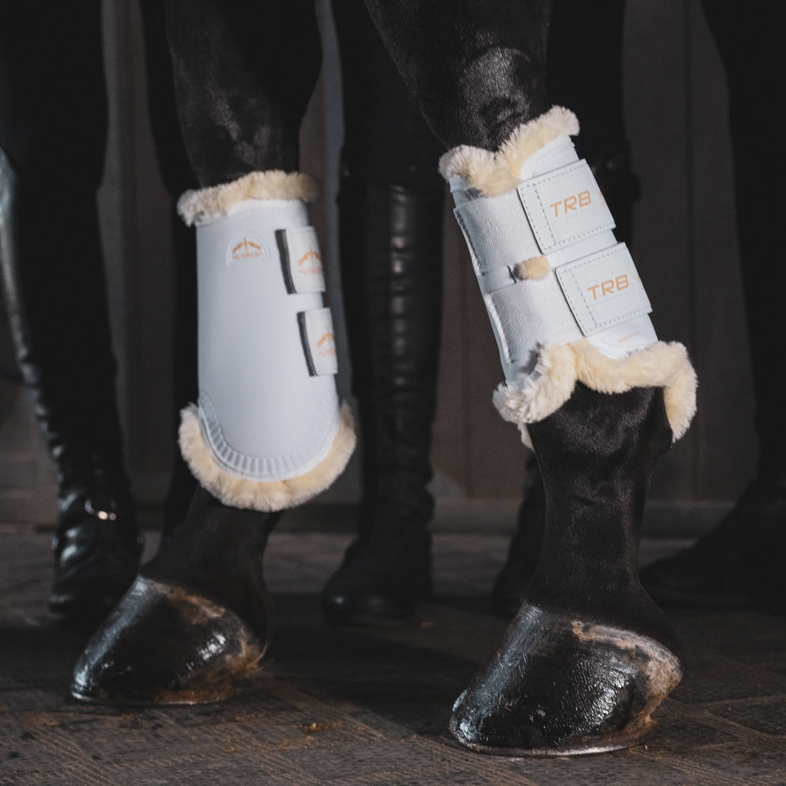 Veredus TRB Save the Sheep Front Turnout Boots