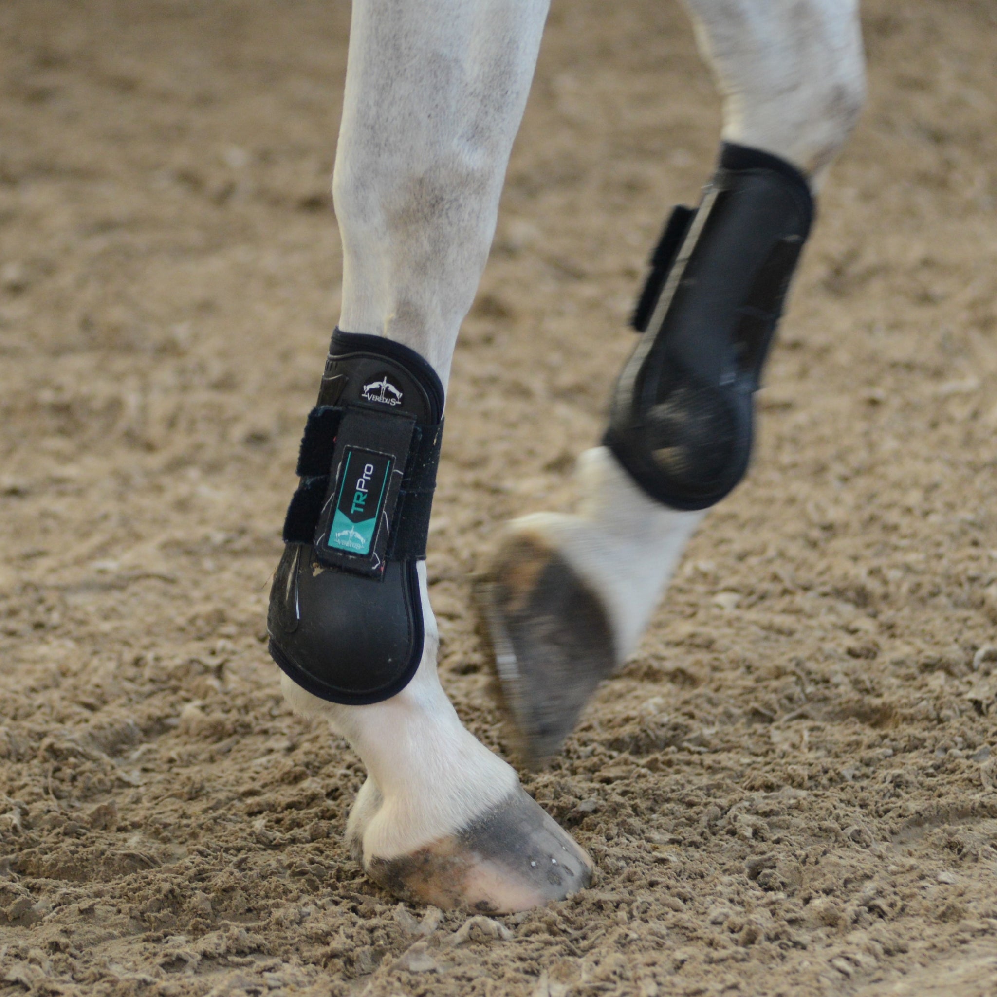 Veredus TR Pro Rear Fetlock Boots