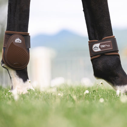 Veredus TR Pro Rear Fetlock Boots