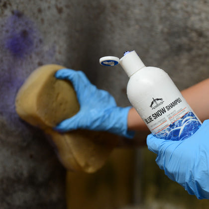 Veredus Blue Snow Shampoo