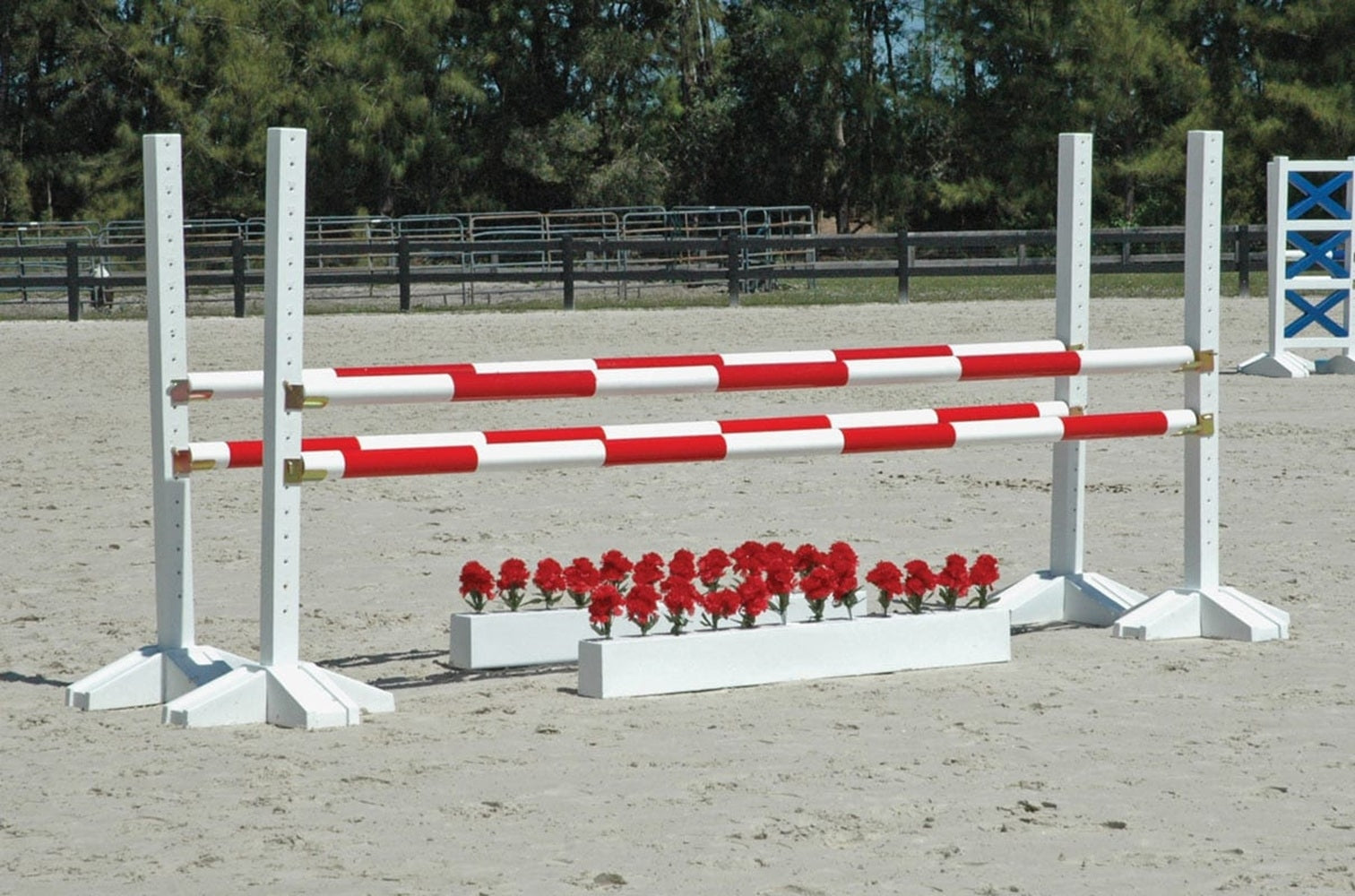 Burlingham Sports Striped Jump Poles - Set of 4