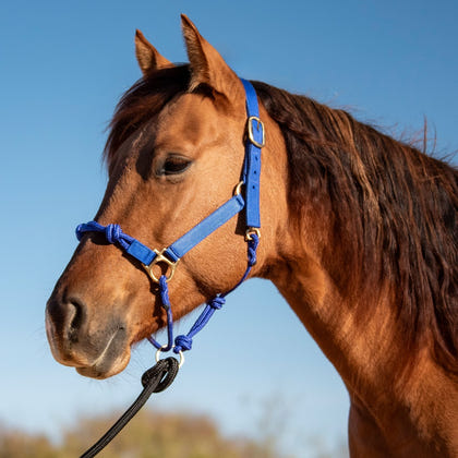 Cashel Nylon Rope Halter