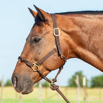 Cashel Nylon Rope Halter