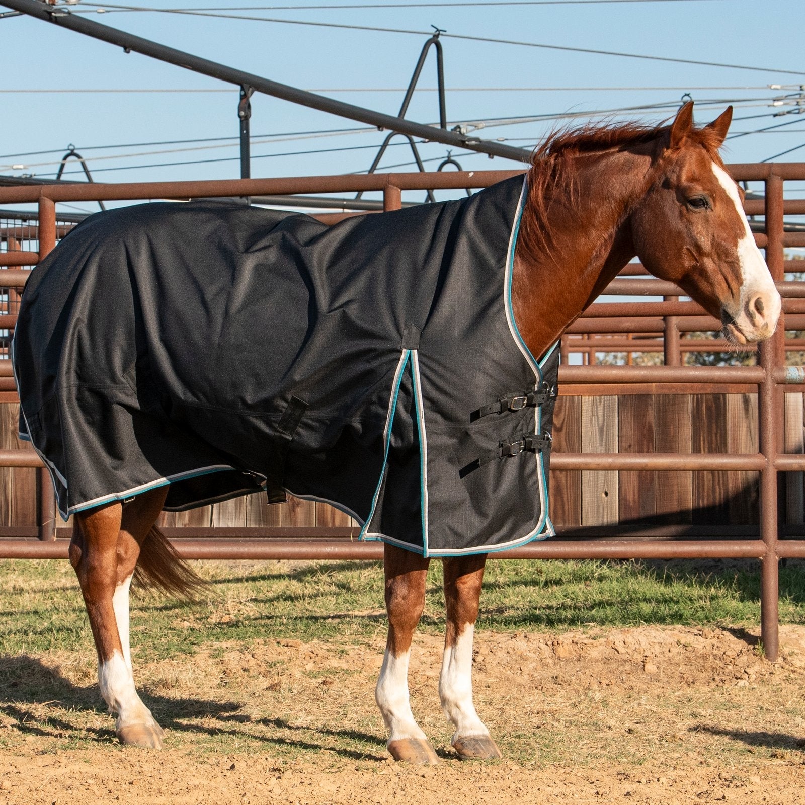 Cashel Lightweight Turnout Winter Blanket 100G