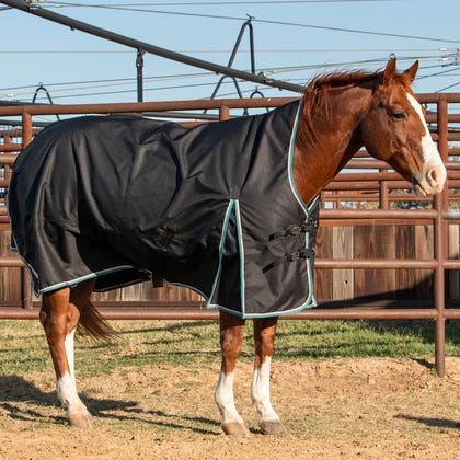 Cashel Lightweight Turnout Winter Blanket 100G
