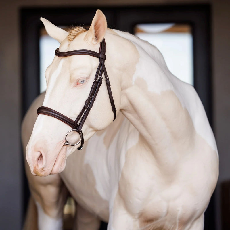 Shires Velociti Lusso Padded Raised Bridle