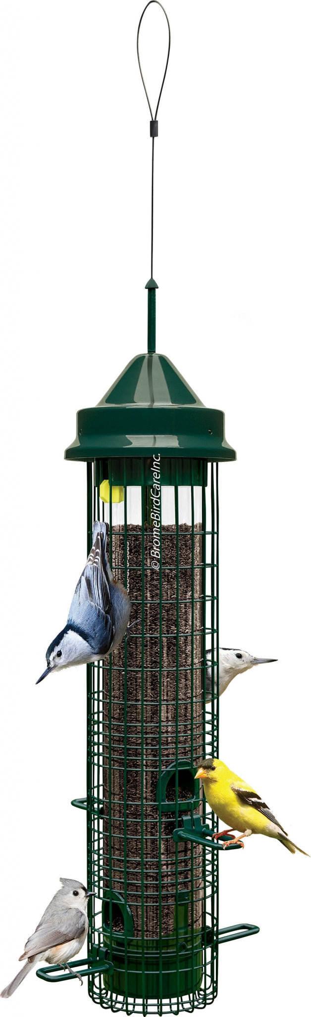 Squirrel Buster