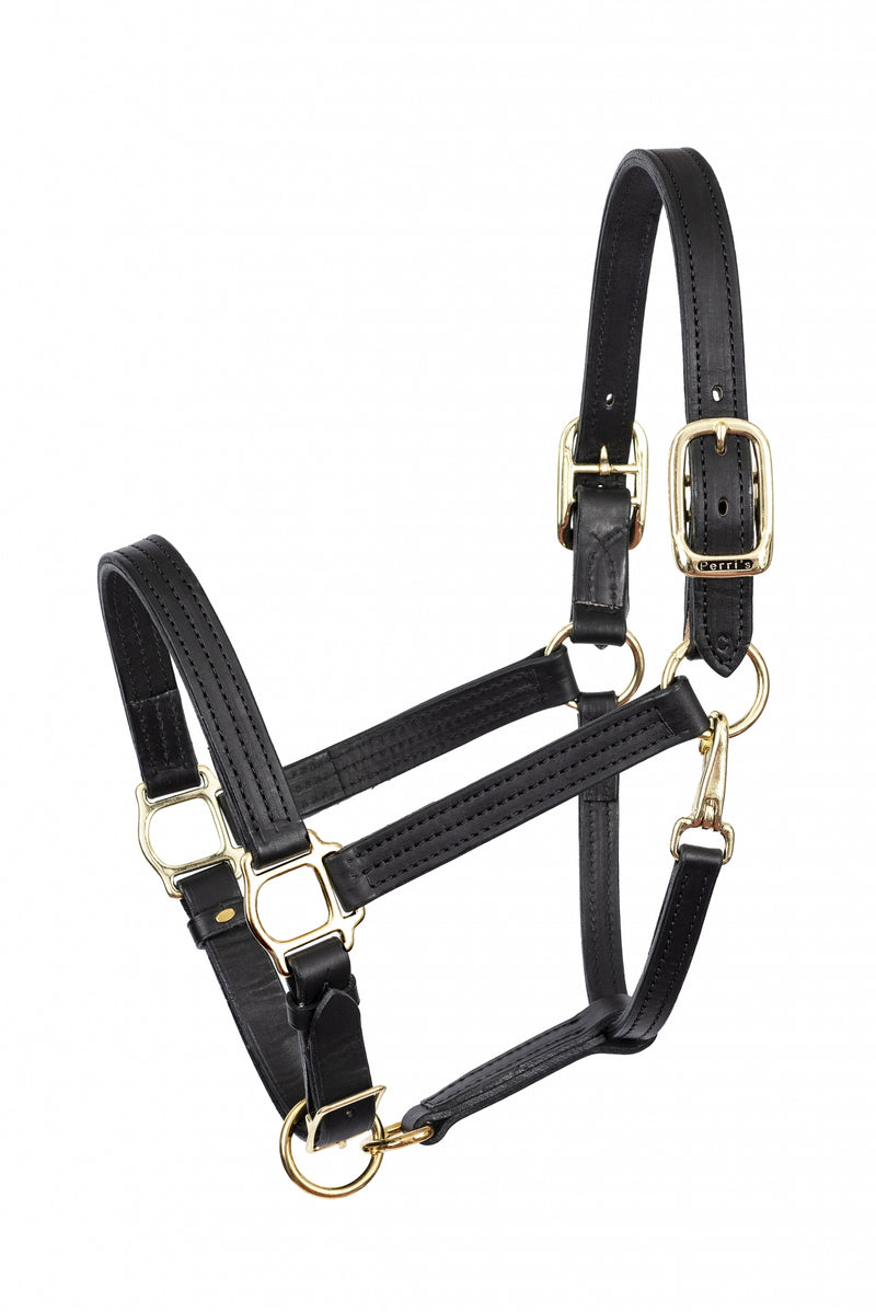 Perris Leather Turnout Halter