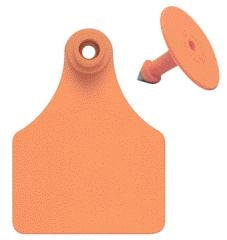 Allflex Ear Tag Blank