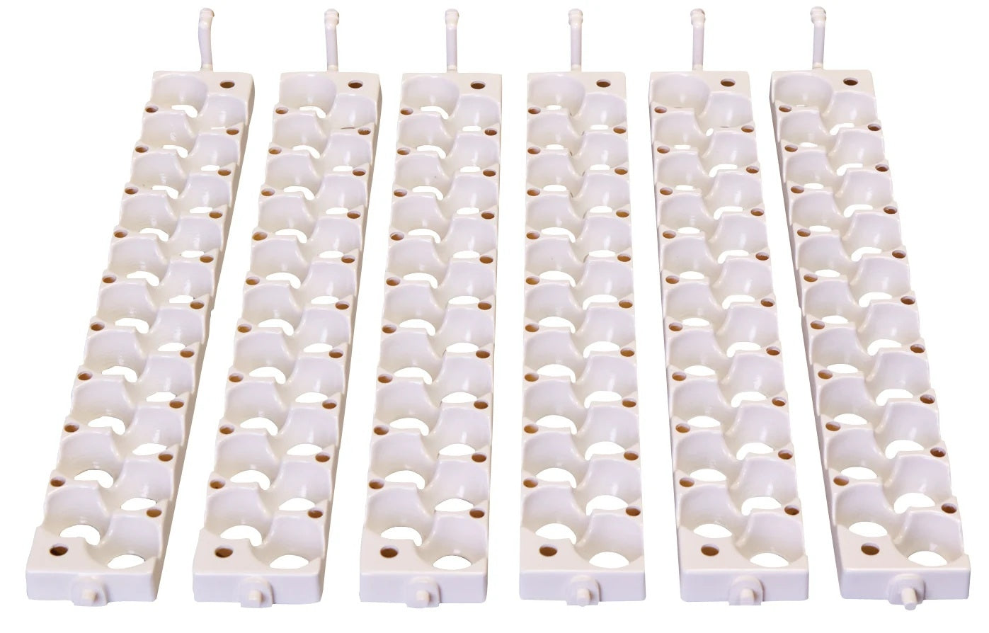 Little Giant Six Small Egg Rails Boxed