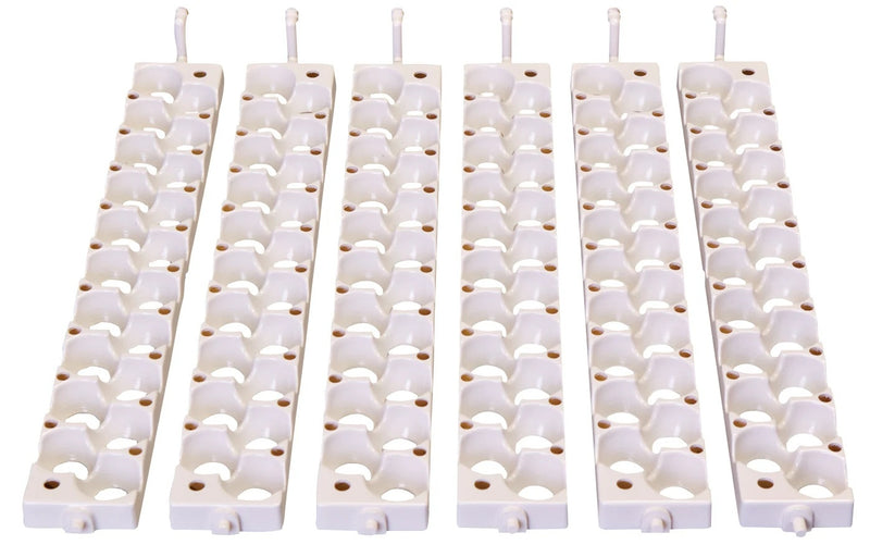 Little Giant Six Small Egg Rails Boxed