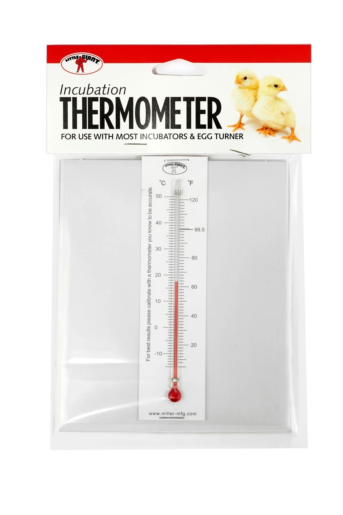 Incubator Thermometer Gray