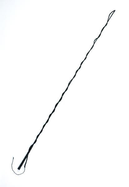 Perri's Lunge Whip
