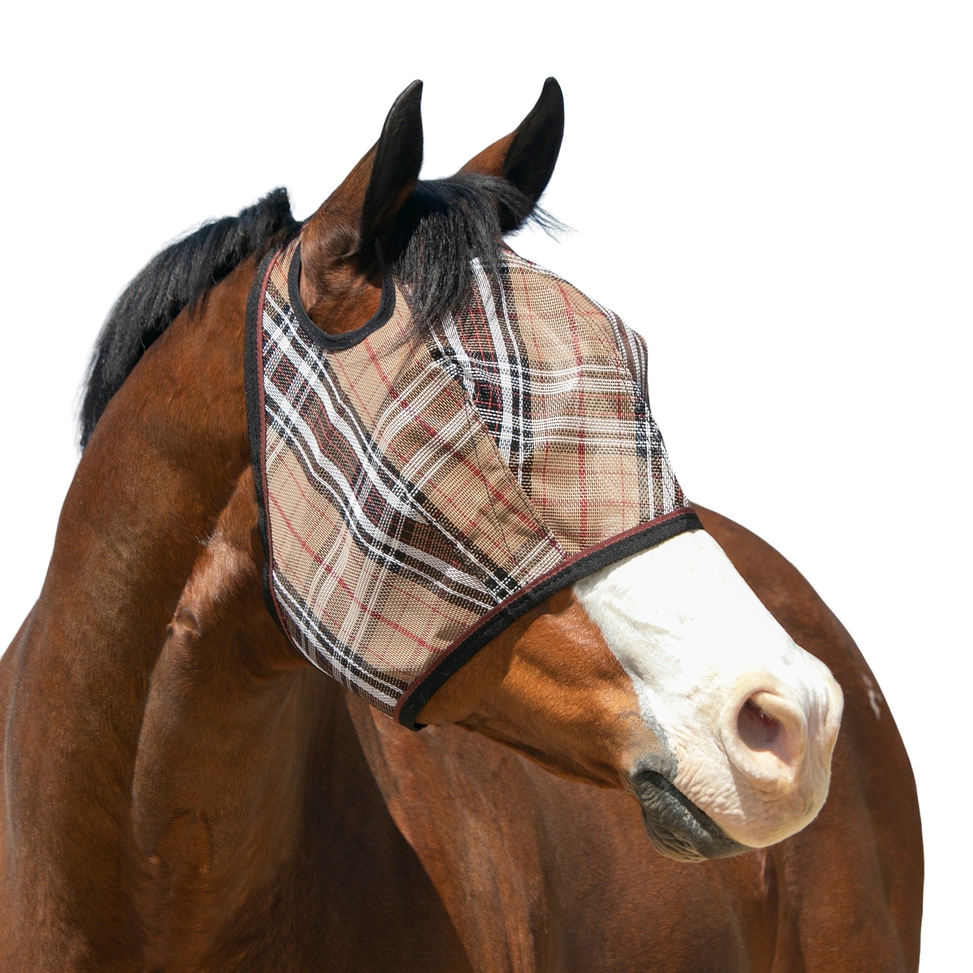 Kensington Fly Mask with 73% UV Protection - Open Top Design