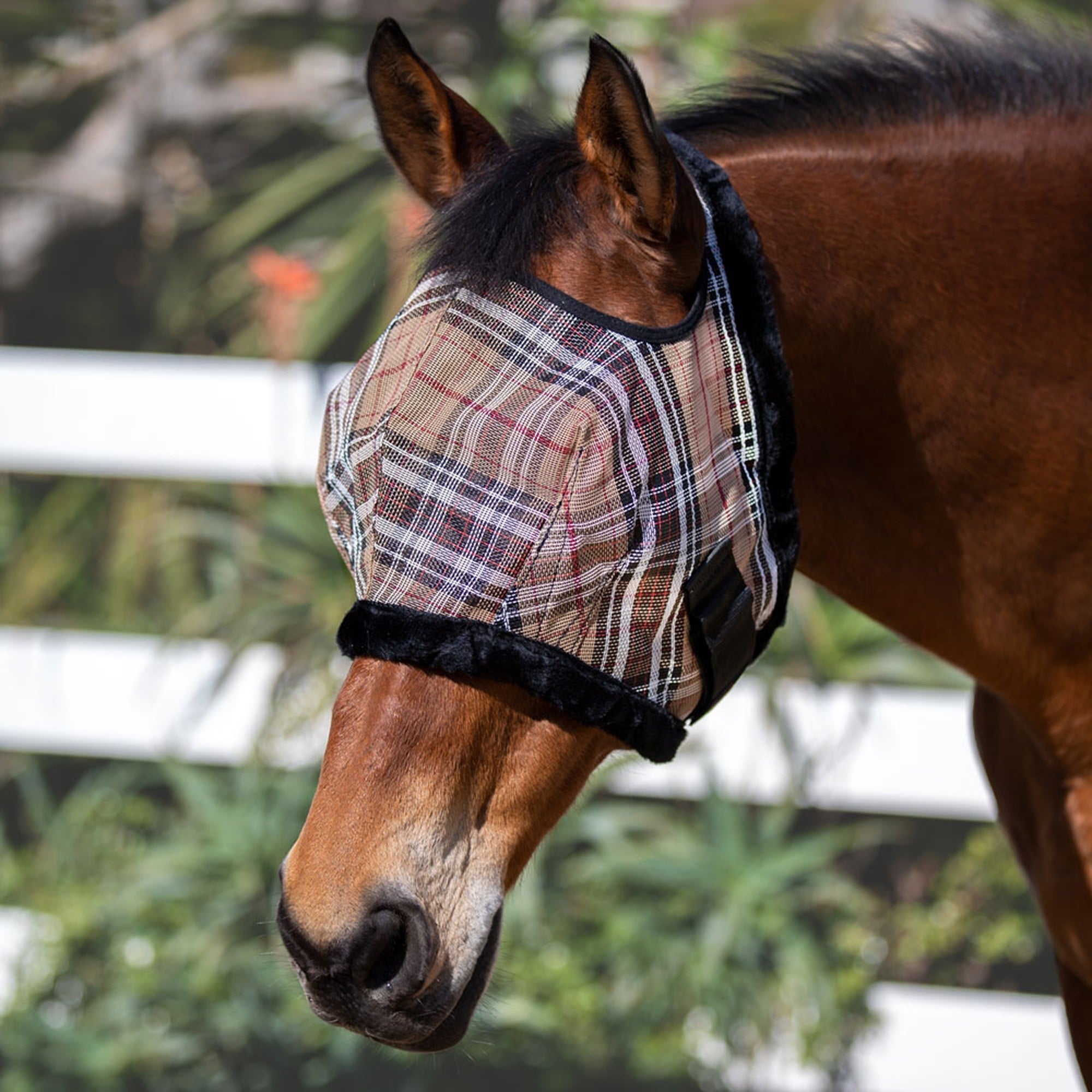 Kensington Fly Mask with Fleece Trim