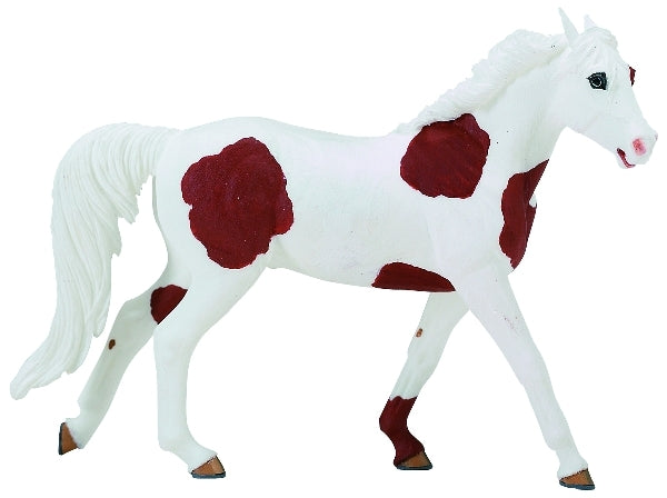 American Paint Horse