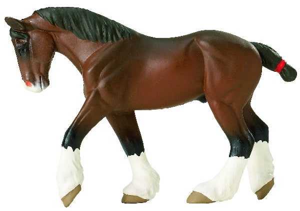 Clydesdale Adult
