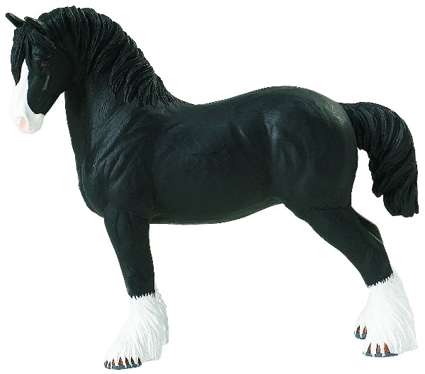 Shire Horse