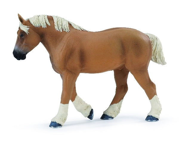 Belgian Draft Stallion