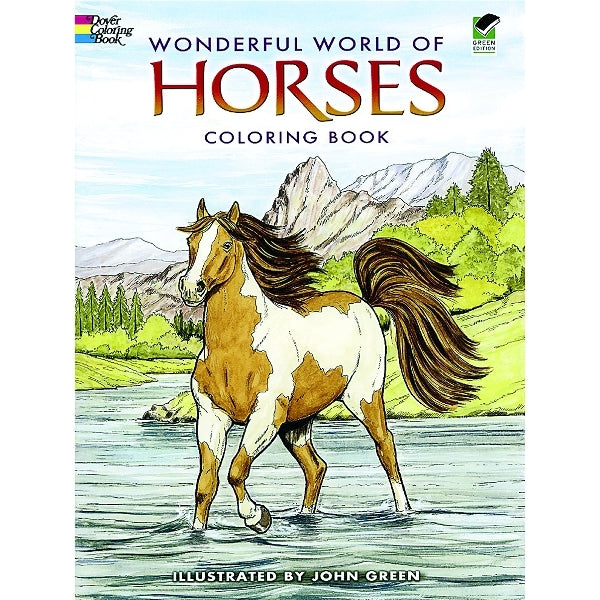 Wonderful World Of Horses Coloring Book