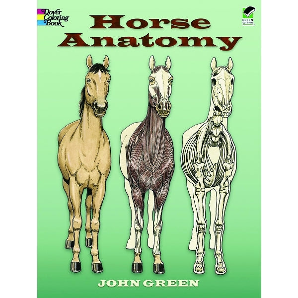 Horse Anatomy Coloring Book