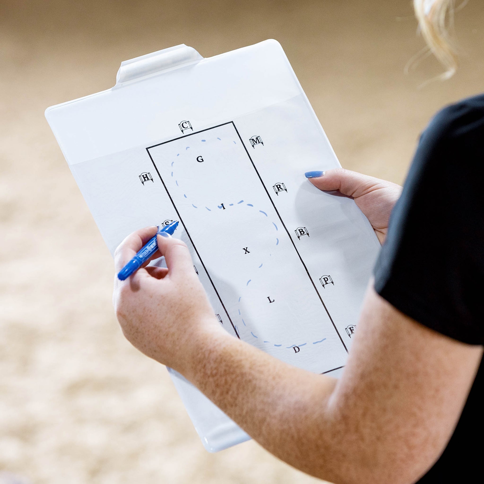 HorZe Learner Dressage Test Board