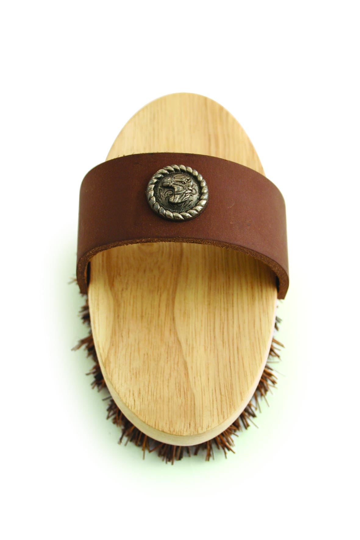 PonyExpress Rider Western Grooming Brush