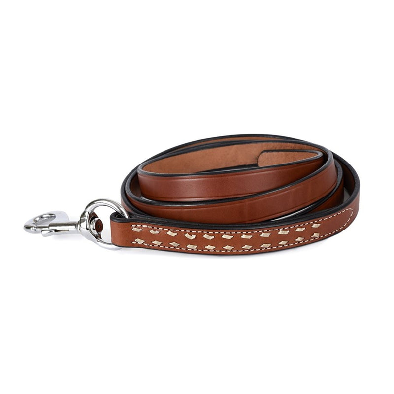 Perri's Buckstitch Lead with Snap
