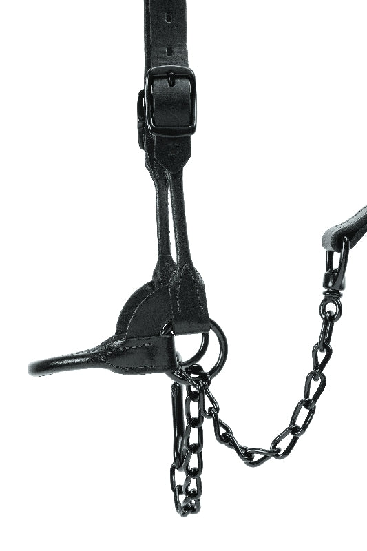 Weaver Leather Black Magic Show Halter