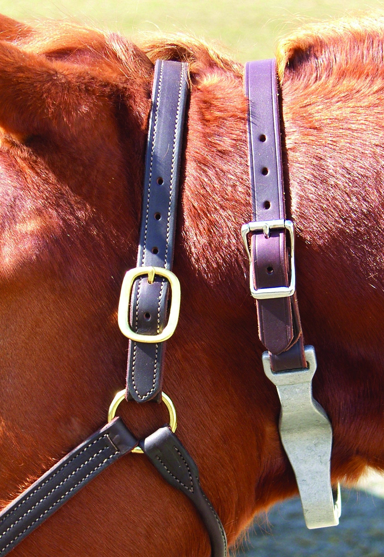 Thornhill Nutcracker/Leather Crib Strap