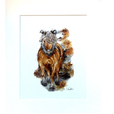 Balduin (Haflinger) By Jan Kunster, Matted