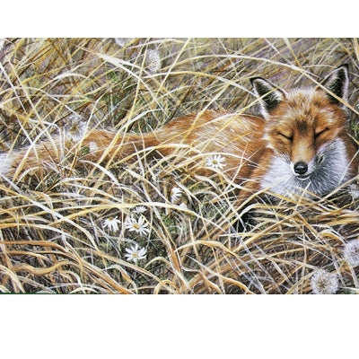 A Quiet Snooze (Fox) Blank Greeting Cards - 6 Pack
