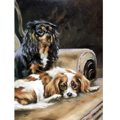 Cavalier King Charles Blank Greeting Cards - 6 Pack