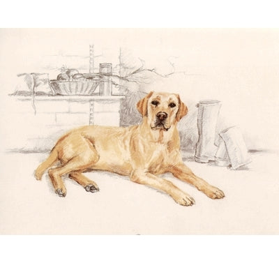 Yellow Lab By: David Thompson, Matted