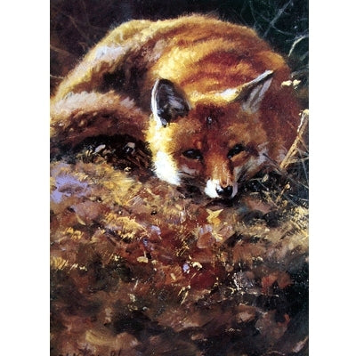 Reynard (Fox) Blank Greeting Cards - 6 Pack